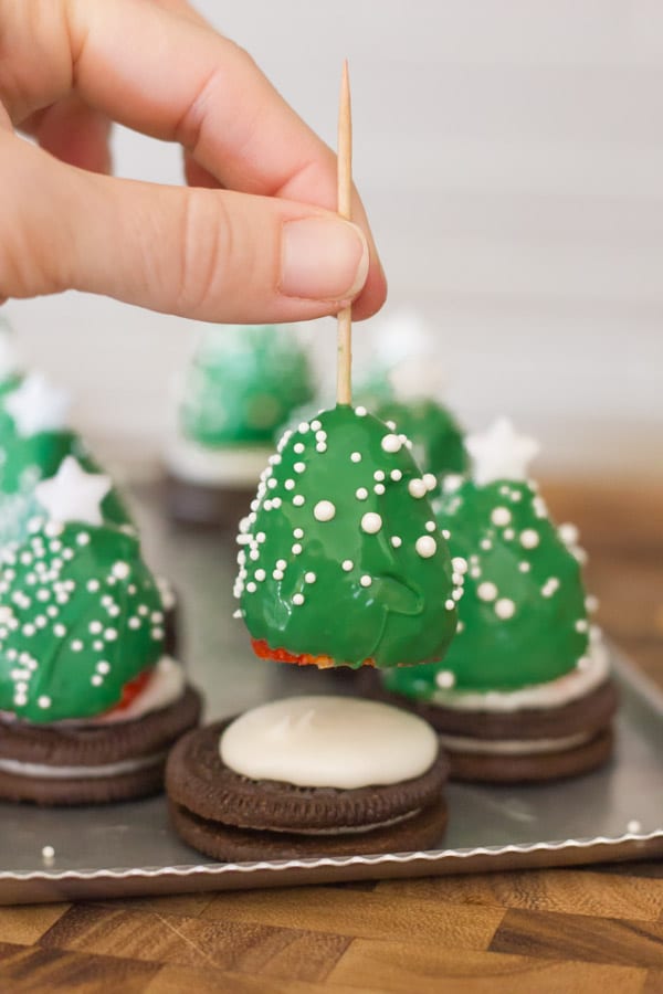 chocolate-covered-strawberry-christmas-trees-super-chefs-2