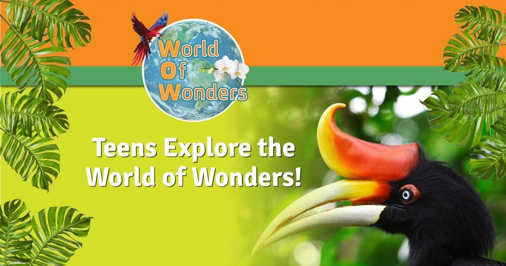 World of Wonders (WoW)