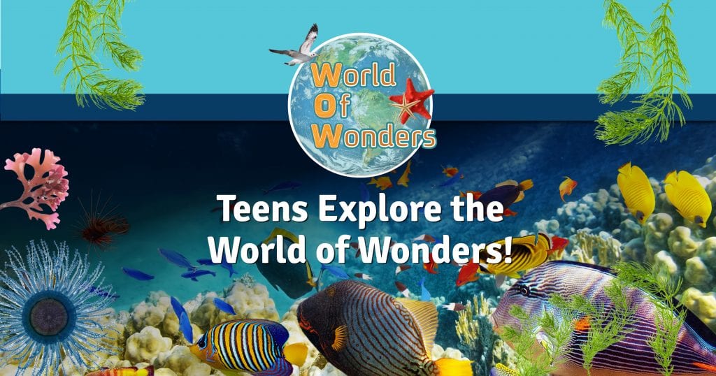 World of Wonders (WoW)