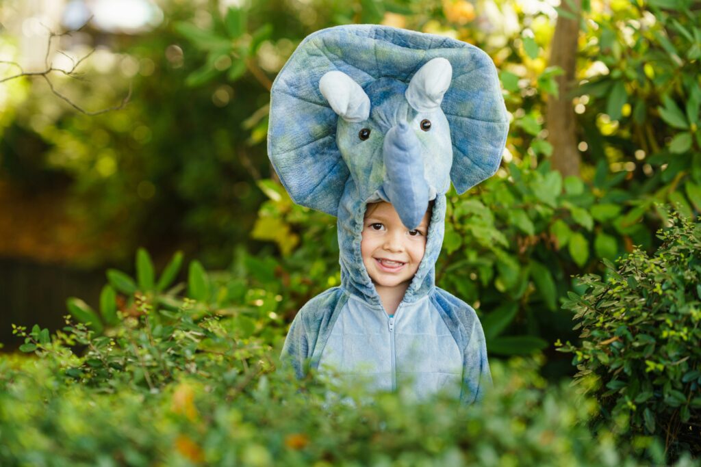 niño disfrazado de elefante